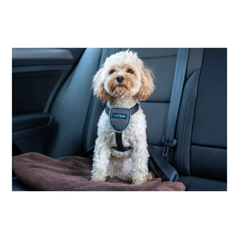 Šuns pakinktai Company of Animals CarSafe Juoda L